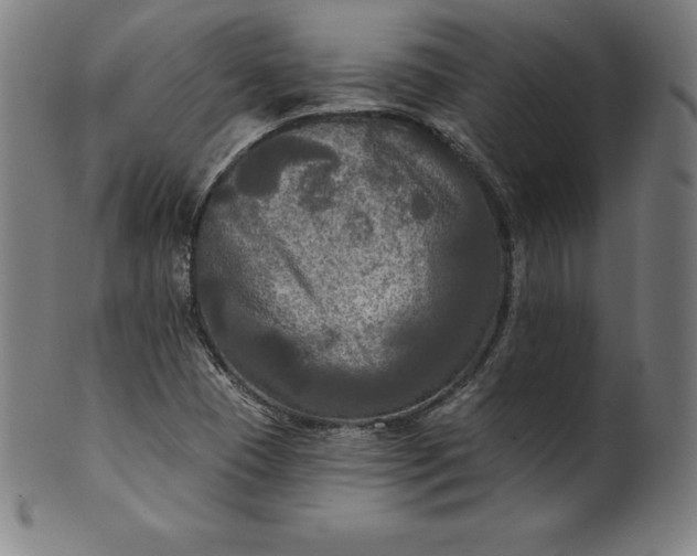 X0000099951409200806061531