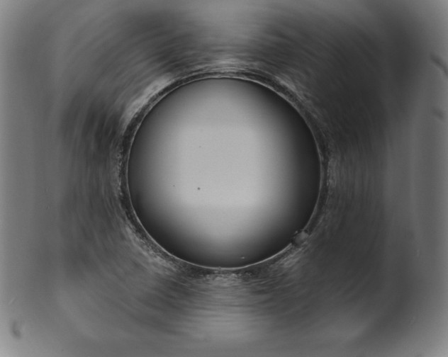 X0000099951410200806061531