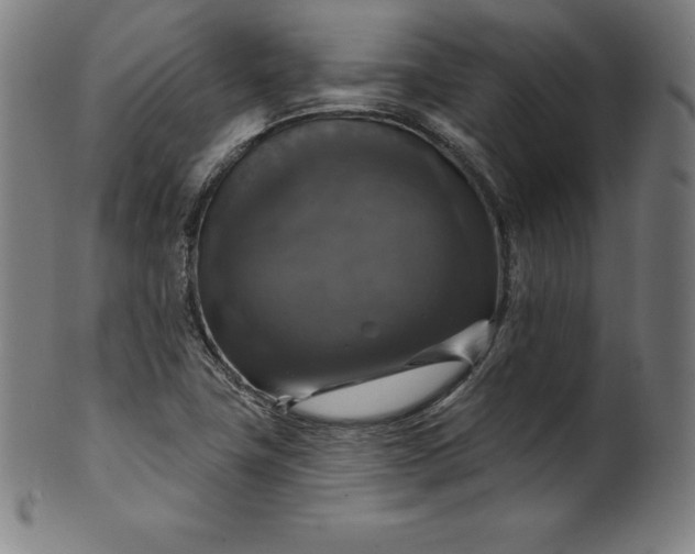 X0000099951411200806061531