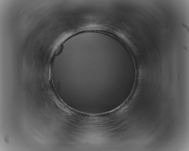 X0000099951413200806061531