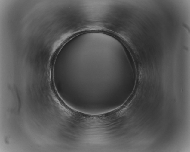 X0000099951414200806061531