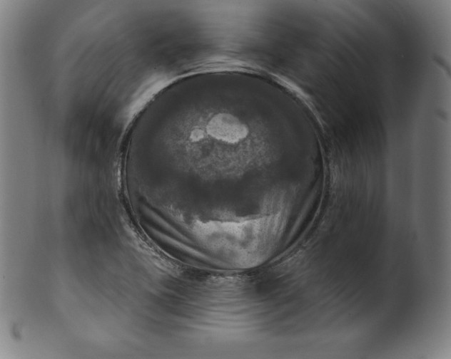 X0000099951415200806061531