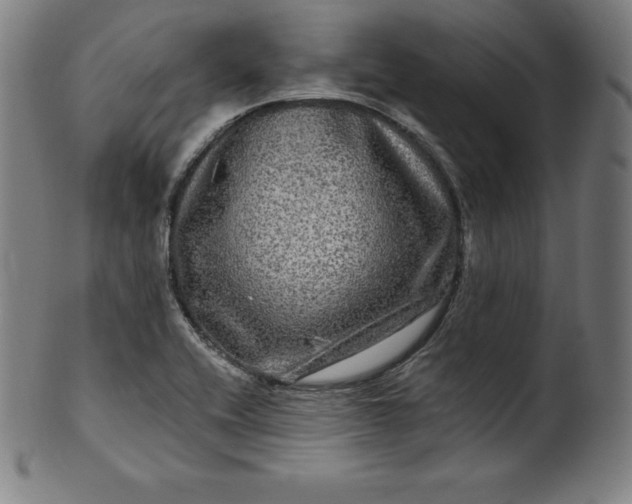 X0000099951416200806061531