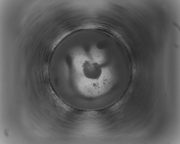 X0000099951417200806061532