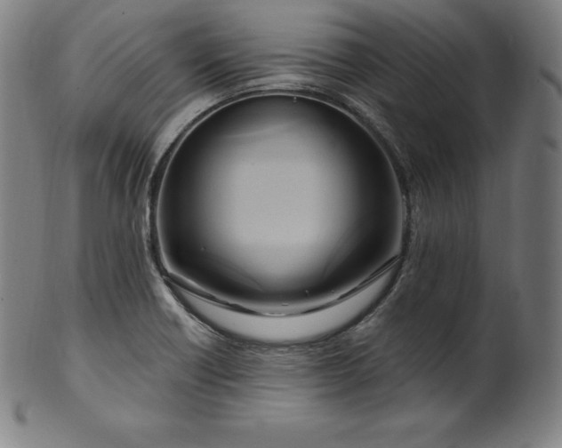 X0000099951418200806061532