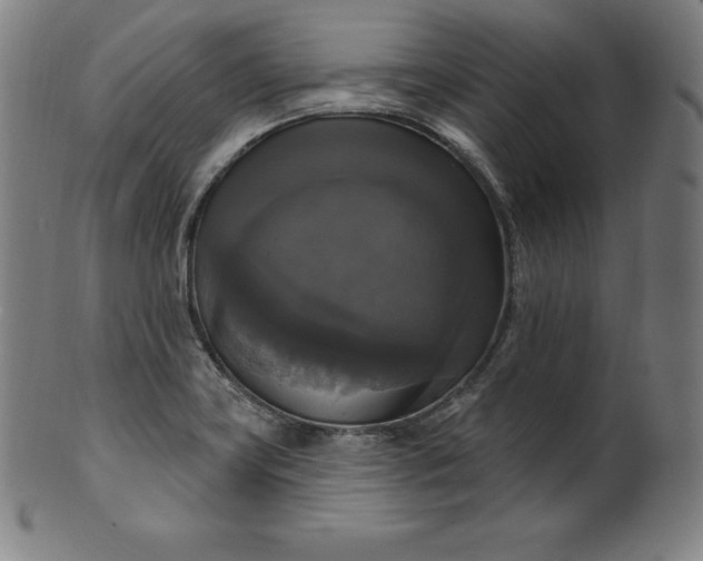 X0000099951419200806061532