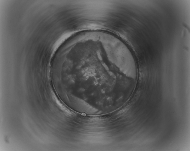 X0000099951421200806061532