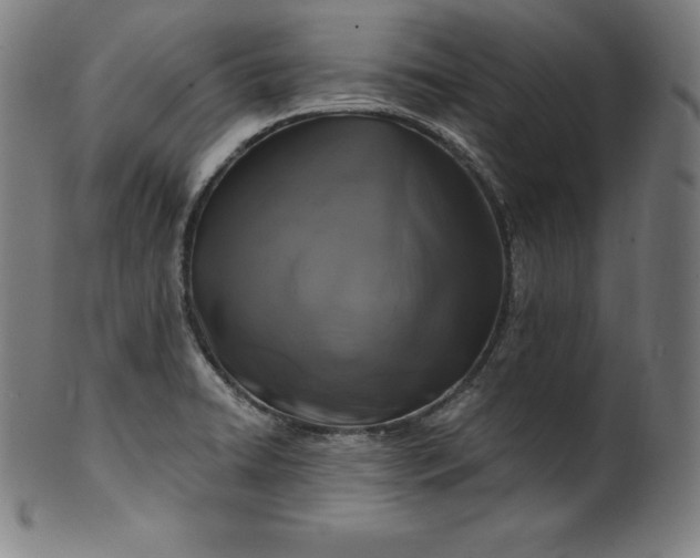 X0000099951422200806061532