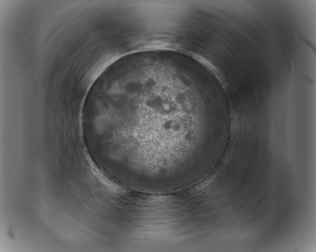 X0000099951423200806061532