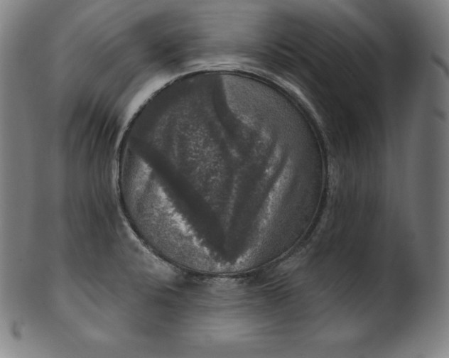 X0000099951424200806061532