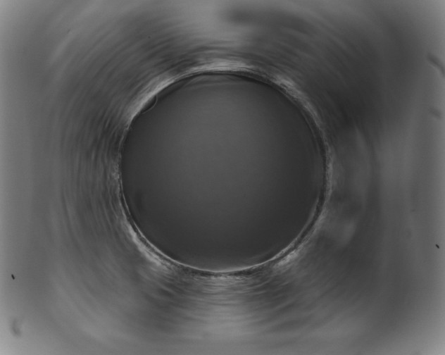 X0000099951425200806061532