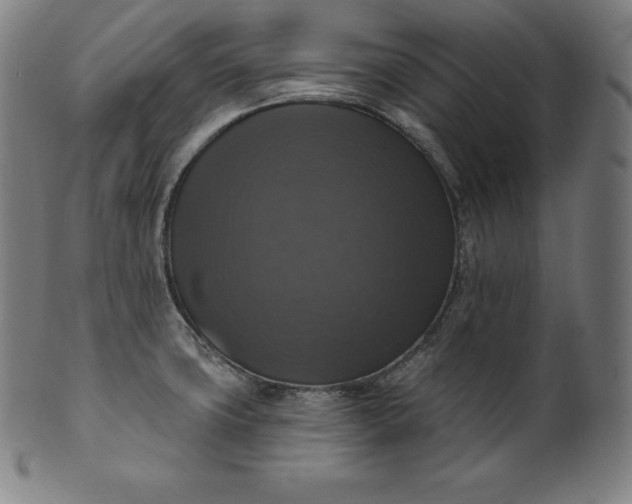 X0000099951427200806061532