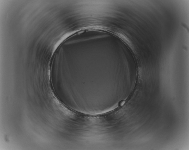 X0000099951428200806061532