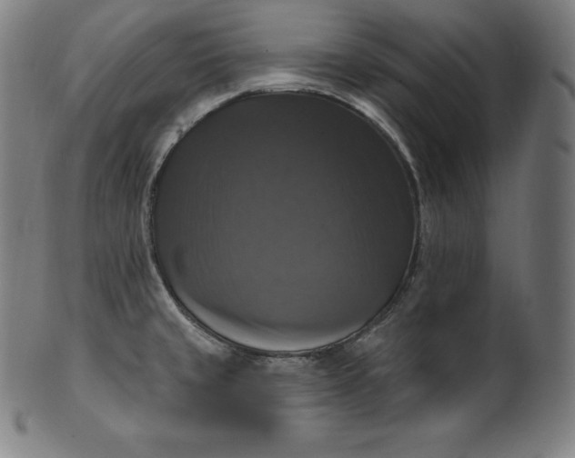 X0000099951429200806061532