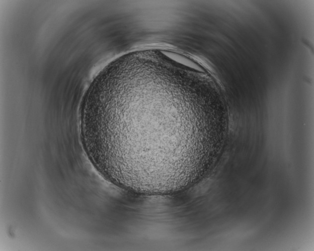 X0000099951430200806061532