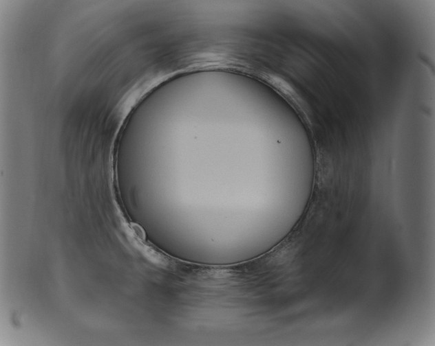 X0000099951431200806061532