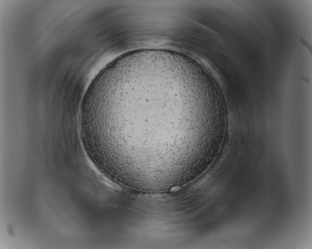 X0000099951432200806061532