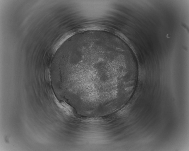 X0000099951433200806061532