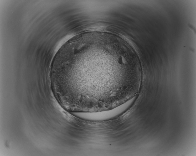 X0000099951434200806061532