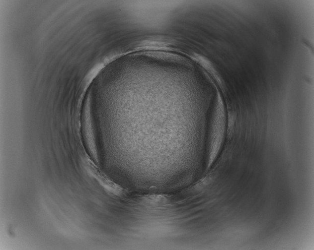 X0000099951435200806061532