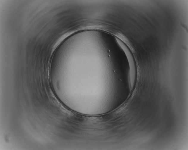 X0000099951436200806061532