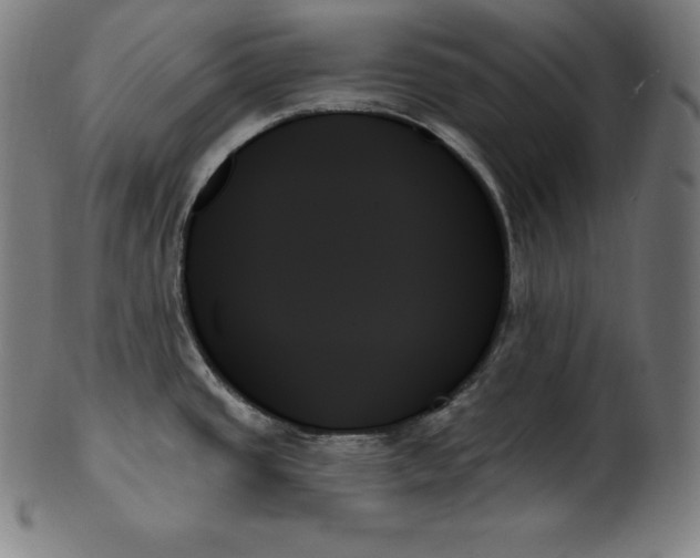 X0000099951437200806061532