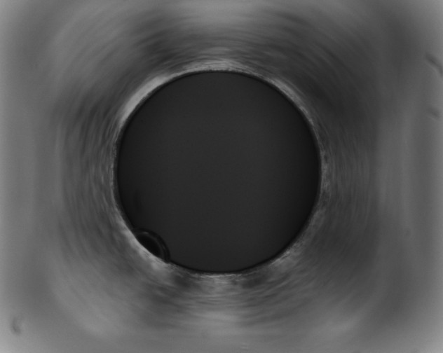 X0000099951438200806061532