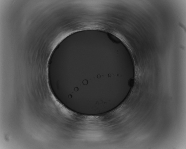 X0000099951439200806061532