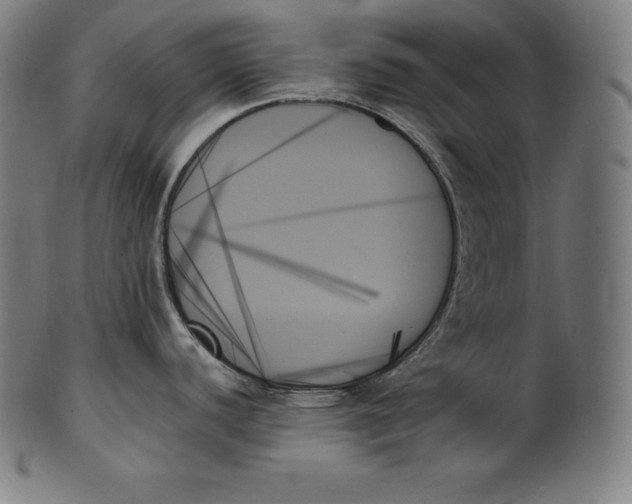 X0000099951440200806061532