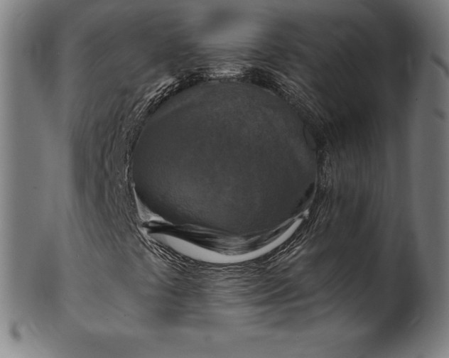 X0000099951441200806061531