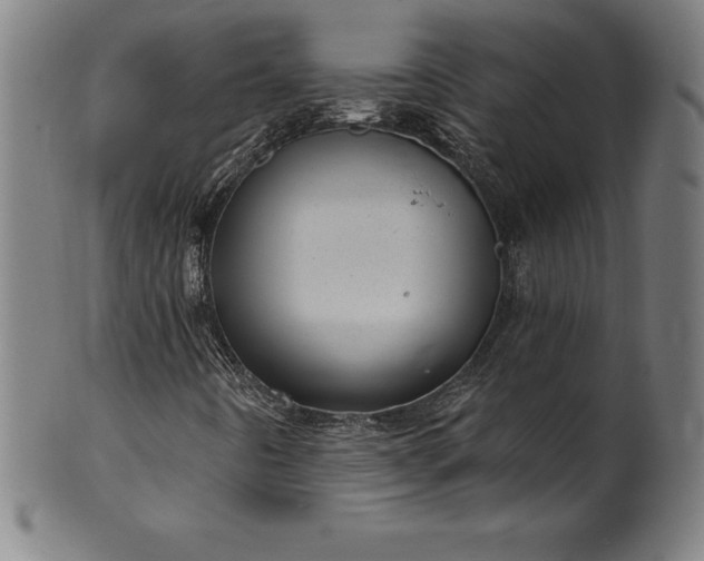 X0000099951442200806061531