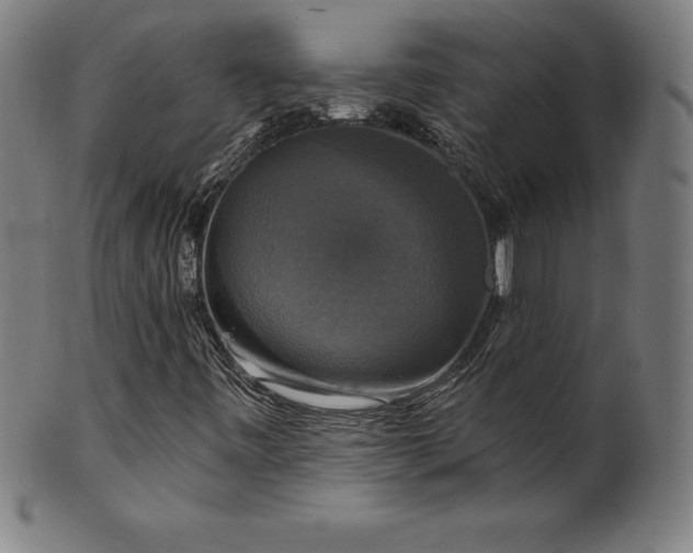 X0000099951443200806061531