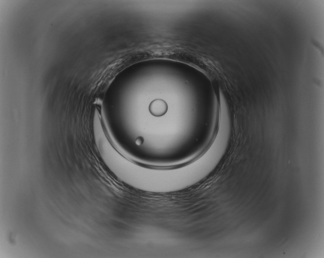 X0000099951444200806061531