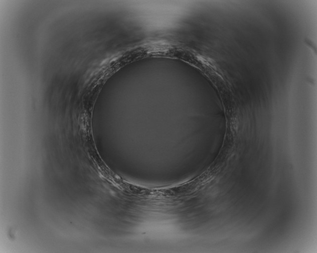 X0000099951445200806061531