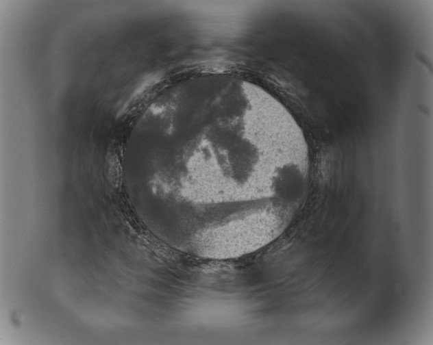 X0000099951446200806061531