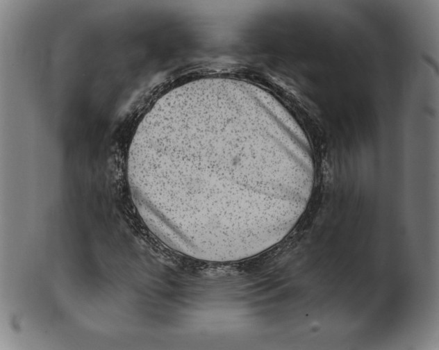 X0000099951447200806061531