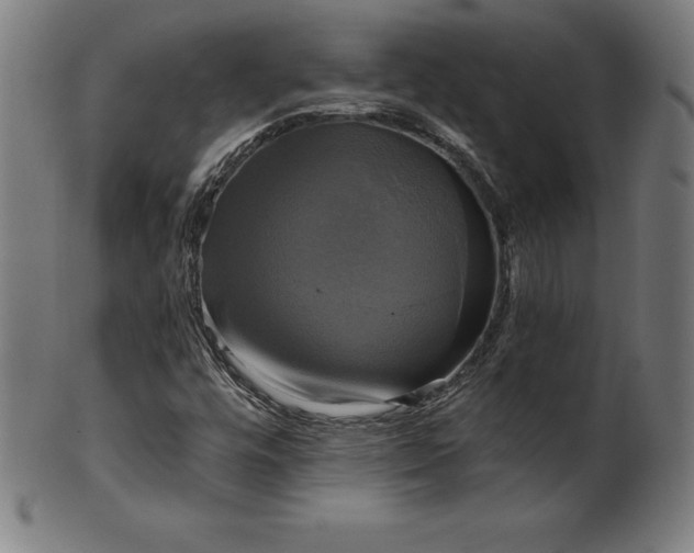 X0000099951448200806061531