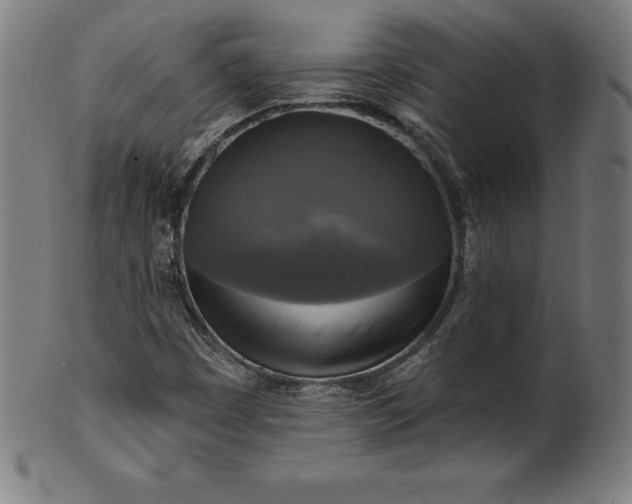 X0000099951449200806061531