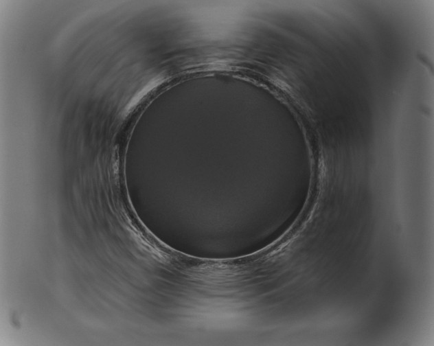 X0000099951450200806061531