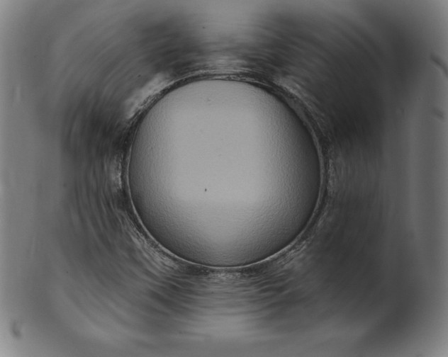 X0000099951451200806061531