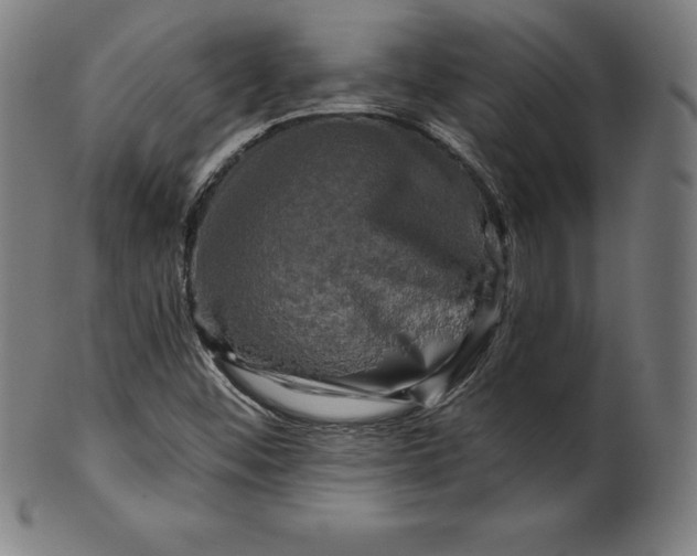 X0000099951452200806061531