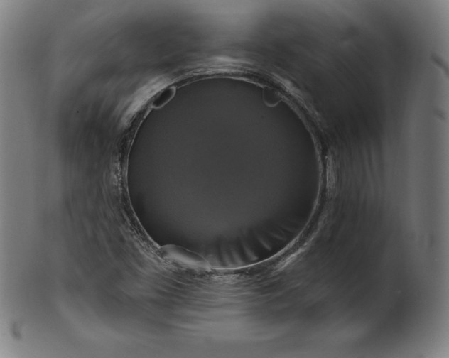 X0000099951453200806061531