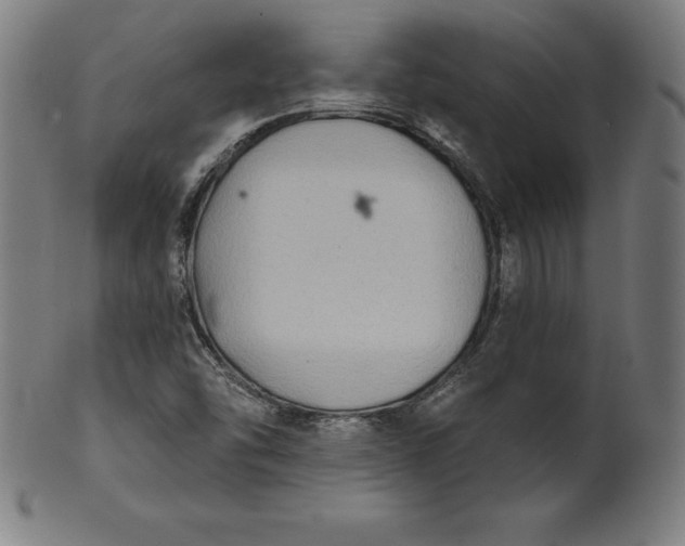 X0000099951454200806061531