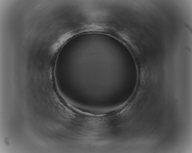 X0000099951455200806061531