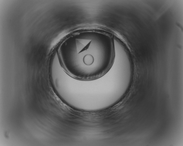 X0000099951456200806061531