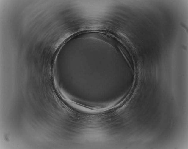 X0000099951457200806061531