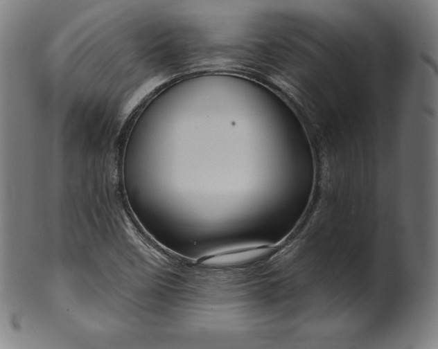 X0000099951458200806061531