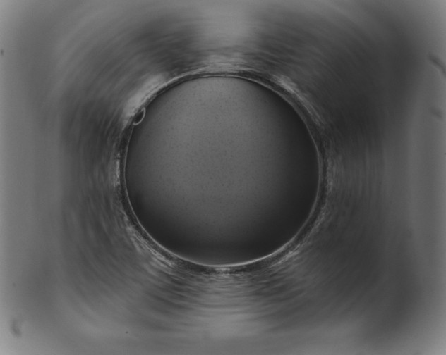 X0000099951459200806061531