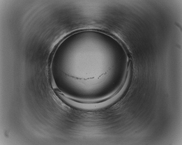 X0000099951460200806061531