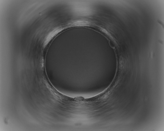 X0000099951461200806061531